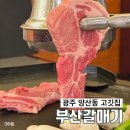 부산갈매기 | 광주 양산동 고기집 '부산갈매기' 후기 가성비 맛집 고기 질 최고