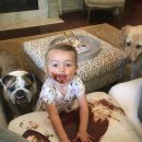 개구쟁이 이미지