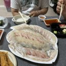 회뜨는곰대소점