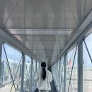 챠오 이탈리아어 첫걸음 | [신랑이씀] 감기와 함께 시작된 신혼여행 시작!!(with 로마)