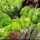 약수2농장 이미지