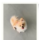 아이조아요양보호소 안양점 이미지