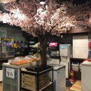 2구역 멀티방 이미지