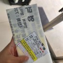 고래불국민야영장 | 영덕 오토캠핑장 - 고래불 국민야영장 숲속야영장C 후기