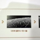 주호재하우스