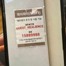 해뜨는 숲속 | 홍천 여행 힐리언스 선마을 숲속동 후기(스파/트래킹/와이파이/식사 총정리)