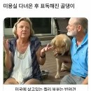 멍뭉이 미용실 이미지