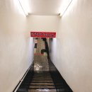 돌고래하우스 이미지