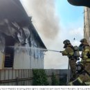 일도농장 이미지