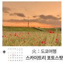 현지인만 아는 5월 도쿄 가볼만한 곳! 스카이트리 포토스팟 추천해드려요.