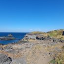 제주 올레길 16코스 이미지