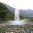 청도.어울림글램핑타운 이미지