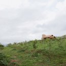 언덕위에집 이미지