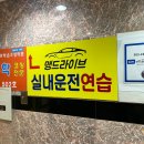 일산 장롱면허 / 운전 감각 되살리기 맹드라이브 운전면허 일산점