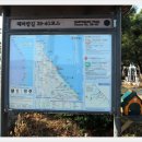 사천진해변 Daum카페