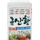 황규산농장 네이버블로그