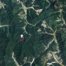 지리산맥약초의고장 경남산청군신등면약초재배및임업활동용임야11,394평(급매) 이미지