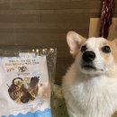 뚱띠레이 이미지