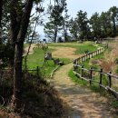 하화도 꽃섬길 이미지