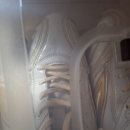 기아타이거즈 박찬호 실착 ssk 야구화(징스파이크) (기아)현두산 12만 이미지