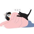 스시캘리포니아 - 동대문구 경희대로1가길 10 | 스시캘리포니아