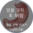 센신코리아 이미지