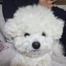 스마일오일뱅크 | 캐시워크 돈버는퀴즈 정답 2/9리스트