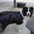 윤카센타 이미지