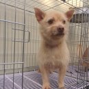 대동강주유소 이미지