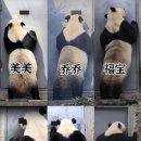 신장매점