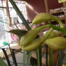 산정농원 이미지