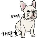G4101 이미지