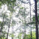 울트라 2구간 이미지