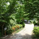 땅콩민박 이미지