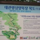 삼양오토바이