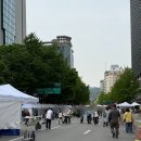 종각한복 | [서울/종각] 부처님오신날 조계사 연등 구경. 서울 볼거리 석가탄신일 조계사 연등회 후기