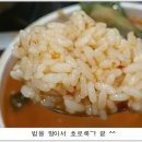 주문진생태찌개 - 양양군 | 주문진생태찌개