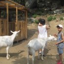 산양농장 이미지