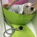 도기누리 이미지