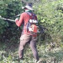 대행농장 이미지