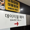 렉스타운 | [과천미용실] 데이지엘헤어 과천점 🪮