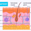 김경훈박사의뉴로트레이닝센터서울본부