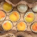 광인농장 이미지