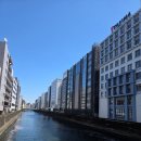 백두산렌트카 | [2026/04/08~2026/04/17] 도쿄, 시즈오카, 오키나와 9박 10일 여행 후기(260만 원)