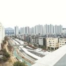 드림시니어