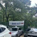 서울 계곡 북한산 계곡 &lt;청솔집&gt;-매우실망한 내돈내산후기
