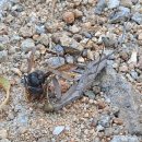 팔팔 인력소 이미지