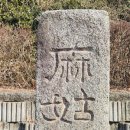 마고동천