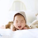 스튜디오가제 이미지