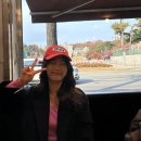 3개월만에 돌아온 다손김밥 &amp; 고대 정문 아아 맛집 해머커피로스터스
